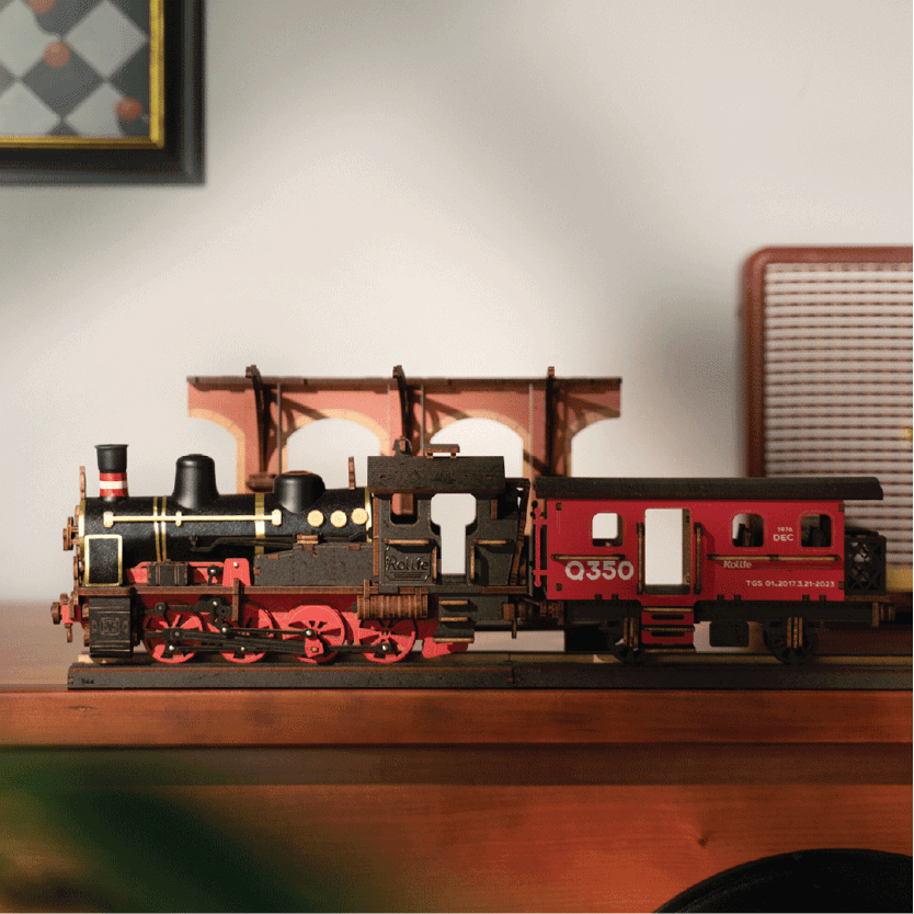DIY Steam Train - Image 2